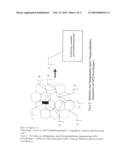 METHOD FOR NETWORK IDENTIFICATION ACQUISITION BY REGULAR USERS FOR SUPPORTING AUTOMATED PLANNING AND OPTIMIZATION PROCESSES IN CELLULAR MOBILE RADIO NETWORKS diagram and image