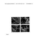 SUBSTRATE FOR THE GROWTH OF CULTURED CELLS IN THREE DIMENSIONS diagram and image