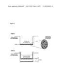 SUBSTRATE FOR THE GROWTH OF CULTURED CELLS IN THREE DIMENSIONS diagram and image