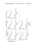 NOVEL METHODS FOR PREDICTING AND TREATING TUMORS RESISTANT TO DRUG, IMMUNOTHERAPY, AND RADIATION diagram and image