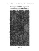 NOVEL METHODS FOR PREDICTING AND TREATING TUMORS RESISTANT TO DRUG, IMMUNOTHERAPY, AND RADIATION diagram and image