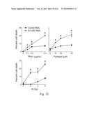 NOVEL METHODS FOR PREDICTING AND TREATING TUMORS RESISTANT TO DRUG, IMMUNOTHERAPY, AND RADIATION diagram and image