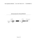 Methods of Producing Modified Assembly Lines and Related Compositions diagram and image