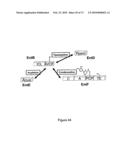 Methods of Producing Modified Assembly Lines and Related Compositions diagram and image