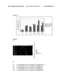 Enhanced Expression from the Pm Promoter diagram and image