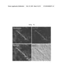 ANGIOGENESIS INHIBITOR COMPRISING METEORIN AS AN ACTIVE INGREDIENT diagram and image