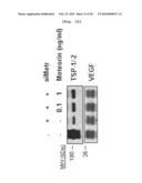 ANGIOGENESIS INHIBITOR COMPRISING METEORIN AS AN ACTIVE INGREDIENT diagram and image