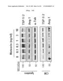 ANGIOGENESIS INHIBITOR COMPRISING METEORIN AS AN ACTIVE INGREDIENT diagram and image