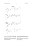 BINDING LIGAND LINKED DRUG DELIVERY CONJUGATES OF TUBULYSINS diagram and image