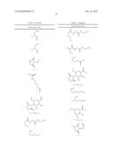 BINDING LIGAND LINKED DRUG DELIVERY CONJUGATES OF TUBULYSINS diagram and image