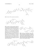 BINDING LIGAND LINKED DRUG DELIVERY CONJUGATES OF TUBULYSINS diagram and image