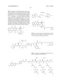 BINDING LIGAND LINKED DRUG DELIVERY CONJUGATES OF TUBULYSINS diagram and image