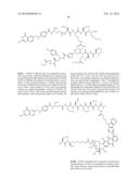 BINDING LIGAND LINKED DRUG DELIVERY CONJUGATES OF TUBULYSINS diagram and image