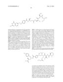 BINDING LIGAND LINKED DRUG DELIVERY CONJUGATES OF TUBULYSINS diagram and image