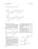 BINDING LIGAND LINKED DRUG DELIVERY CONJUGATES OF TUBULYSINS diagram and image