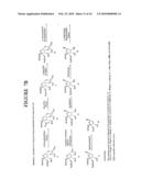 Anti-viral nucleoside analogs and methods for treating viral infections, especially HIV infections diagram and image
