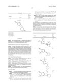 ANDROGEN MODULATORS diagram and image