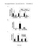 Methods of Inhibiting Bacterial Virulence and Compounds Relating Thereto diagram and image