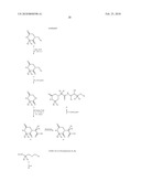 N-(3-AMINO-2-HYDROXY-PROPYL) SUBSTITUTED ALKYLAMIDE COMPOUNDS diagram and image