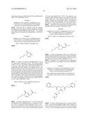 N-(3-AMINO-2-HYDROXY-PROPYL) SUBSTITUTED ALKYLAMIDE COMPOUNDS diagram and image