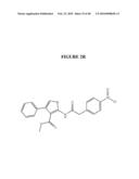 HEPARAN SULFATE INHIBITORS diagram and image