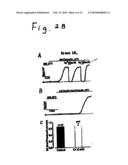 TWO PORE CHANNELS AS A THERAPEUTIC TARGET TO PROTECT AGAINST MYOCARDIAL ISCHEMIA AND AS AN ADJUVANT IN CARDIAC SURGERY diagram and image