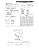 Stable and Long-Lasting siRNA Expression Vectors and the Applications Thereof diagram and image