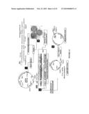 Stable and Long-Lasting siRNA Expression Vectors and the Applications Thereof diagram and image