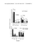 Stable and Long-Lasting siRNA Expression Vectors and the Applications Thereof diagram and image