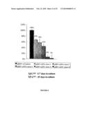 Stable and Long-Lasting siRNA Expression Vectors and the Applications Thereof diagram and image