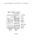 Stable and Long-Lasting siRNA Expression Vectors and the Applications Thereof diagram and image