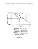 Stable and Long-Lasting siRNA Expression Vectors and the Applications Thereof diagram and image