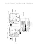 Stable and Long-Lasting siRNA Expression Vectors and the Applications Thereof diagram and image