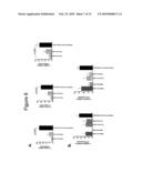 OLIGONUCLEOTIDES AFFECTING EXPRESSION OF PHOSPHODIESTERASES diagram and image