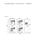 Role of miRNA in T cell leukemia diagram and image