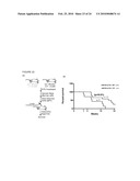 Role of miRNA in T cell leukemia diagram and image