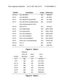 MicroRNA-Based Methods and Compositions for the Diagnosis, Prognosis and Treatment of Acute Myeloid Leukemia (AML) diagram and image