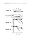 INHIBITING DNA POLYMERASE BETA TO ENHANCE EFFICACY OF ANTICANCER AGENTS diagram and image