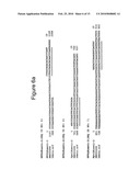 INHIBITING DNA POLYMERASE BETA TO ENHANCE EFFICACY OF ANTICANCER AGENTS diagram and image