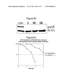 INHIBITING DNA POLYMERASE BETA TO ENHANCE EFFICACY OF ANTICANCER AGENTS diagram and image