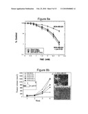 INHIBITING DNA POLYMERASE BETA TO ENHANCE EFFICACY OF ANTICANCER AGENTS diagram and image