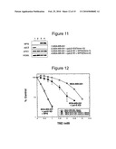 INHIBITING DNA POLYMERASE BETA TO ENHANCE EFFICACY OF ANTICANCER AGENTS diagram and image