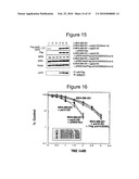 INHIBITING DNA POLYMERASE BETA TO ENHANCE EFFICACY OF ANTICANCER AGENTS diagram and image