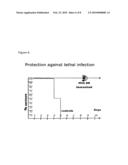 MODIFIED VACCINIA VIRUS ANKARA FOR THE VACCINATION OF NEONATES diagram and image