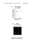 USE OF PHOSPHATASE INHIBITORS FOR THE TREATMENT OF NEURODEGENERATIVE DISEASES diagram and image