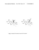 DIETARY AND PHARMACEUTICAL COMPOSITIONS CONTAINING CARNOSOL AND/OR ROSMANOL AND THEIR USES diagram and image