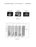 MACROCYCLIC DITERPENES FOR TREATING CONDITIONS ASSOCIATED WITH PROTEIN KINASE C diagram and image