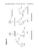 METHODS OF TREATING AND PREVENTING NEOVASCULARIZATION WITH OMEGA-3 POLYUNSATURATED FATTY ACIDS diagram and image