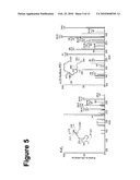 METHODS OF TREATING AND PREVENTING NEOVASCULARIZATION WITH OMEGA-3 POLYUNSATURATED FATTY ACIDS diagram and image