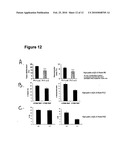 METHODS OF TREATING AND PREVENTING NEOVASCULARIZATION WITH OMEGA-3 POLYUNSATURATED FATTY ACIDS diagram and image